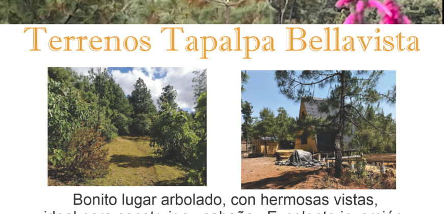 Tapalpa Bellavista
